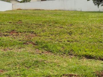 Terreno - Venda - Ninho Verde - Pardinho - SP